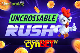 cynbet,cyn.bet